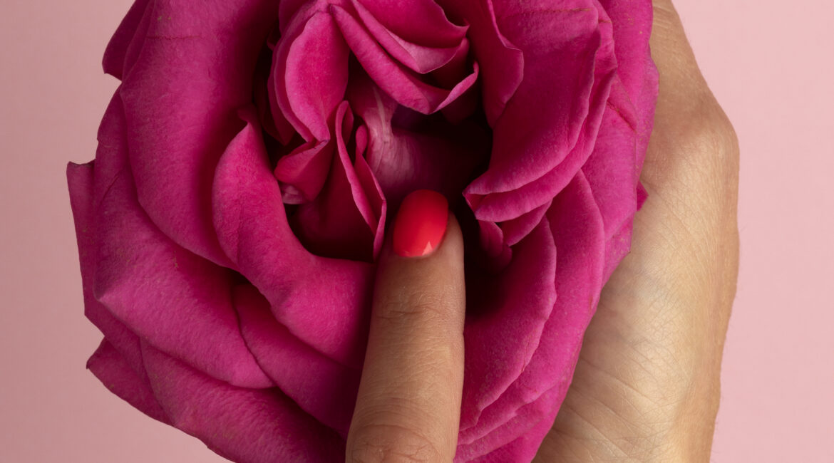 Imagem de uma flor rosa, de coloração rosa, sendo segurada por uma mão, enquanto é tocada por outra